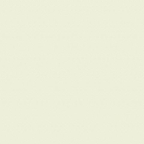 2023属狗今年几岁